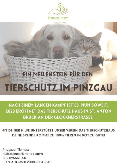 Pinzgauer Tiernest - Tierschutzhaus im Bezirk Zell am See